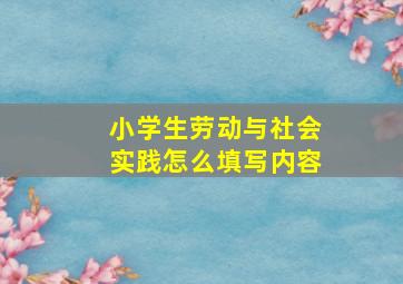 小学生劳动与社会实践怎么填写内容