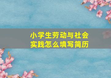 小学生劳动与社会实践怎么填写简历