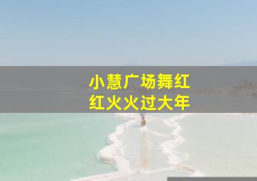 小慧广场舞红红火火过大年