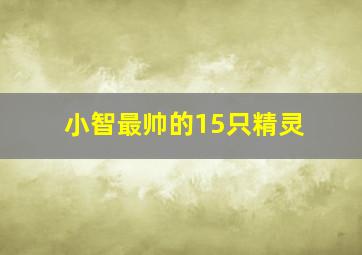 小智最帅的15只精灵