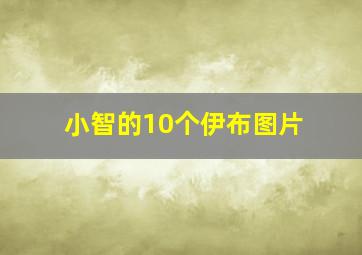 小智的10个伊布图片