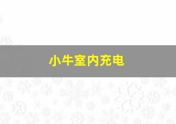 小牛室内充电