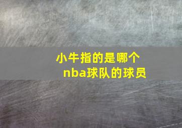 小牛指的是哪个nba球队的球员