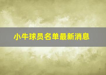 小牛球员名单最新消息