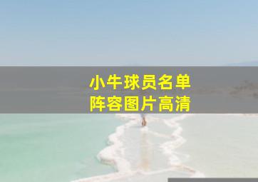 小牛球员名单阵容图片高清