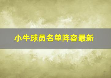 小牛球员名单阵容最新