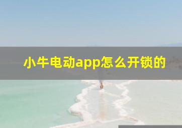 小牛电动app怎么开锁的