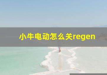 小牛电动怎么关regen