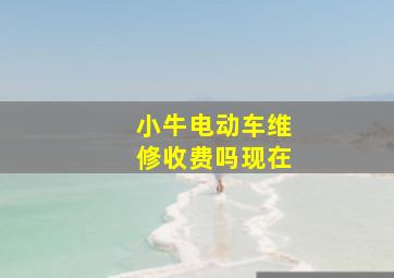 小牛电动车维修收费吗现在