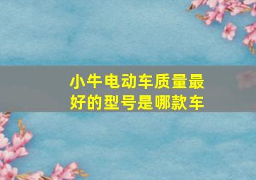 小牛电动车质量最好的型号是哪款车