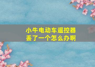 小牛电动车遥控器丢了一个怎么办啊