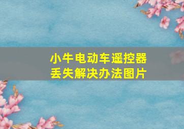 小牛电动车遥控器丢失解决办法图片