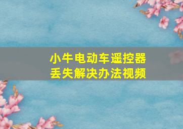 小牛电动车遥控器丢失解决办法视频