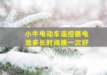 小牛电动车遥控器电池多长时间换一次好