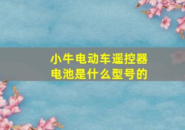 小牛电动车遥控器电池是什么型号的