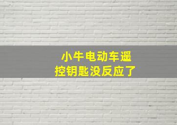 小牛电动车遥控钥匙没反应了