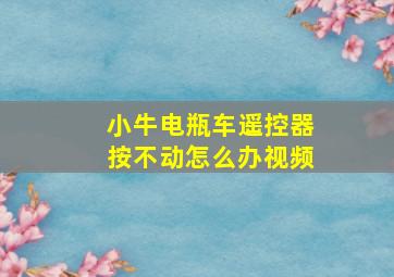 小牛电瓶车遥控器按不动怎么办视频