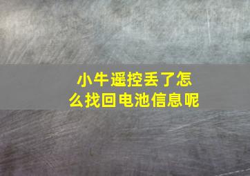 小牛遥控丢了怎么找回电池信息呢