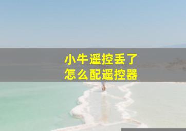 小牛遥控丢了怎么配遥控器