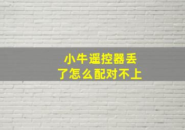 小牛遥控器丢了怎么配对不上