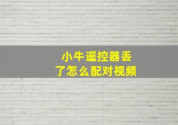 小牛遥控器丢了怎么配对视频