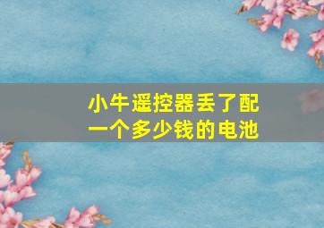 小牛遥控器丢了配一个多少钱的电池