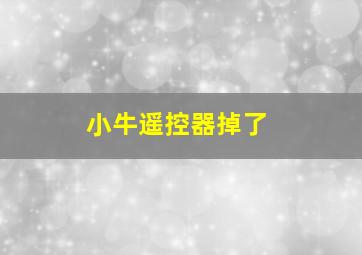 小牛遥控器掉了