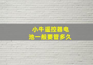 小牛遥控器电池一般要管多久