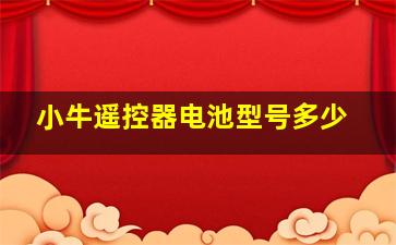 小牛遥控器电池型号多少