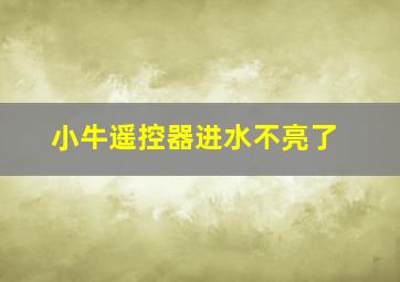 小牛遥控器进水不亮了