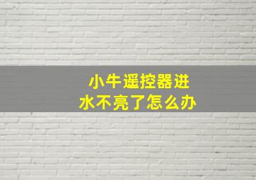 小牛遥控器进水不亮了怎么办