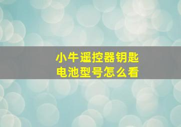 小牛遥控器钥匙电池型号怎么看