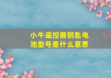 小牛遥控器钥匙电池型号是什么意思