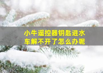 小牛遥控器钥匙进水车解不开了怎么办呢