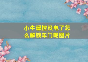 小牛遥控没电了怎么解锁车门呢图片