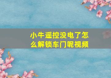 小牛遥控没电了怎么解锁车门呢视频