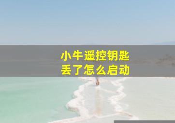 小牛遥控钥匙丢了怎么启动