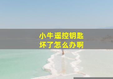 小牛遥控钥匙坏了怎么办啊