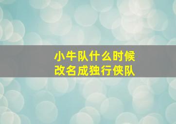 小牛队什么时候改名成独行侠队