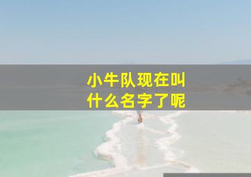 小牛队现在叫什么名字了呢