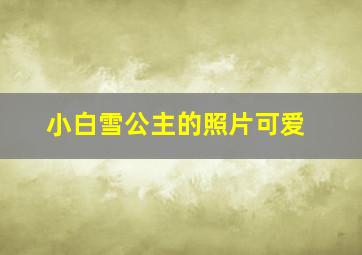 小白雪公主的照片可爱