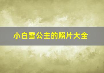 小白雪公主的照片大全