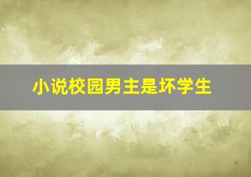 小说校园男主是坏学生