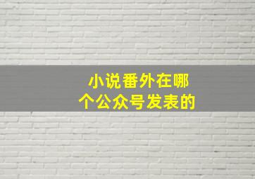 小说番外在哪个公众号发表的