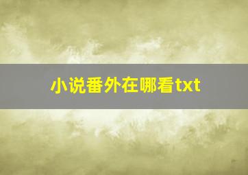 小说番外在哪看txt