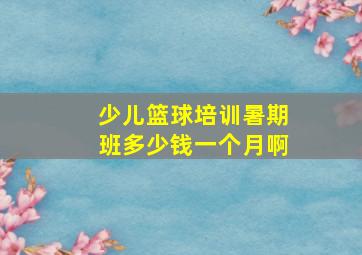 少儿篮球培训暑期班多少钱一个月啊