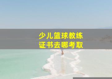 少儿篮球教练证书去哪考取