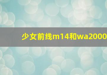 少女前线m14和wa2000