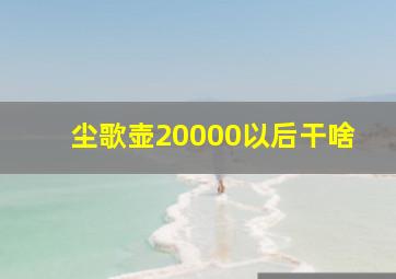 尘歌壶20000以后干啥