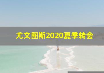 尤文图斯2020夏季转会